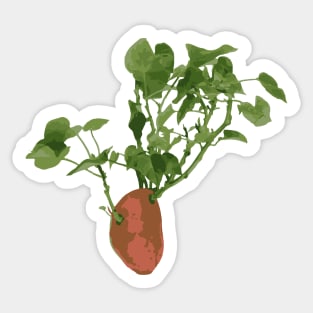 Classic Sweet Potato and Vine for Plant Lover Sticker